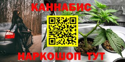 mdpv Будённовск
